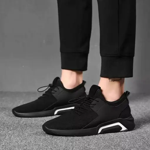 sole quest